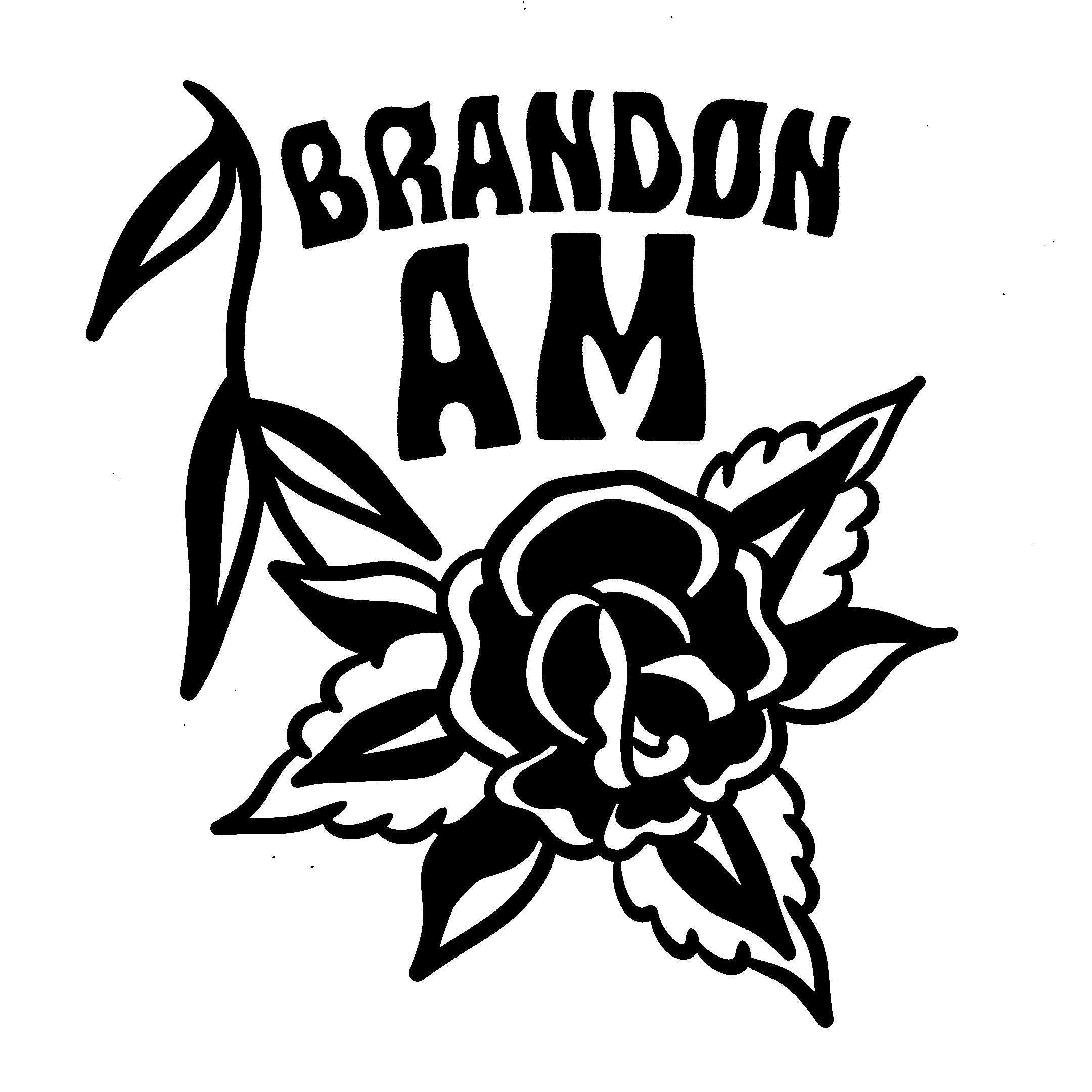 Brandon AM – Multi-Instrumental Folk Artist